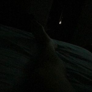 Meet your Posher, Ron